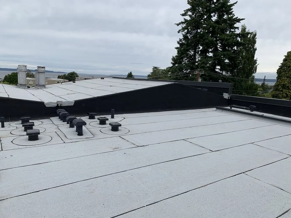 Torch Down vs TPO for a West Los Angeles Flat Roof in West Los Angeles (Part 2)
