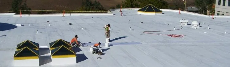 Chalking on Silicone — Cosmetic or Not? — Budget Planning