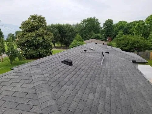 Tree Overhang and Roof Life — Costs and Timelines
