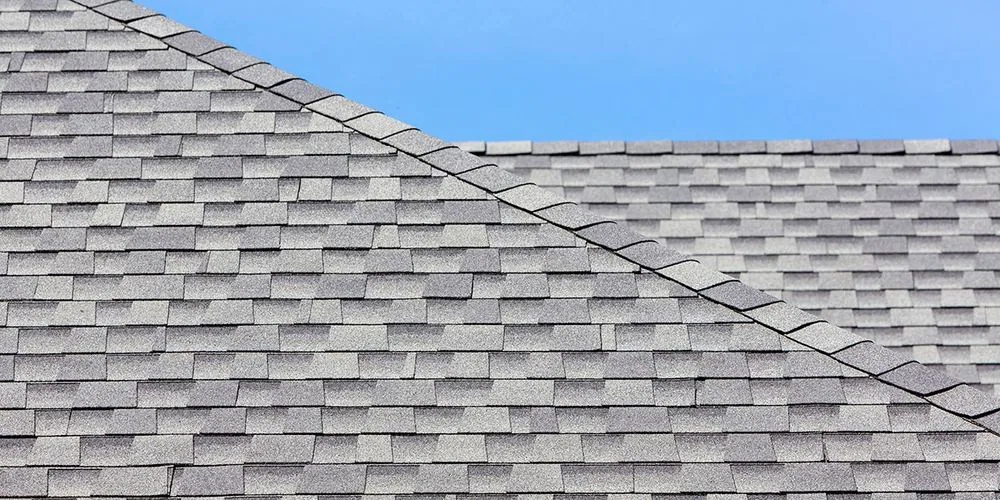 Tree Overhang and Roof Life — Homeowner Checklist