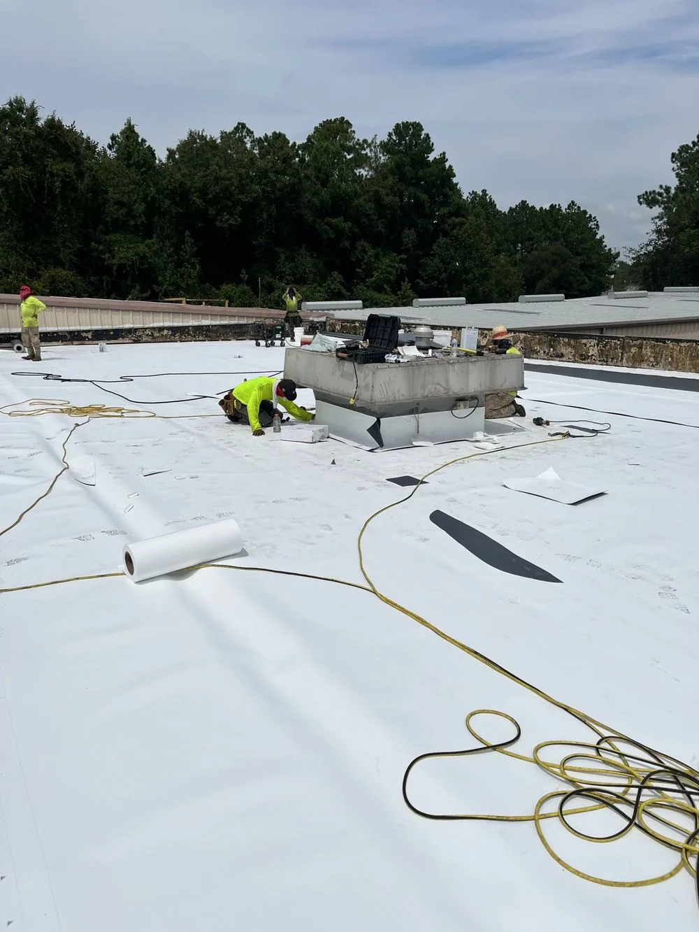 Protecting TPO From Rooftop Trades — Myths and Facts