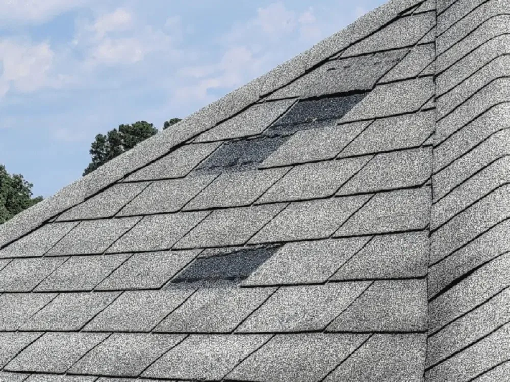 Wind Damage: What Adjusters Look For — Myths and Facts