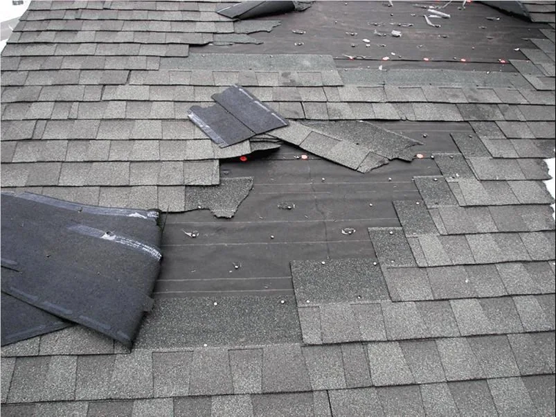 Documenting Storm Damage for a Claim — Insurance in West Los Angeles corridor