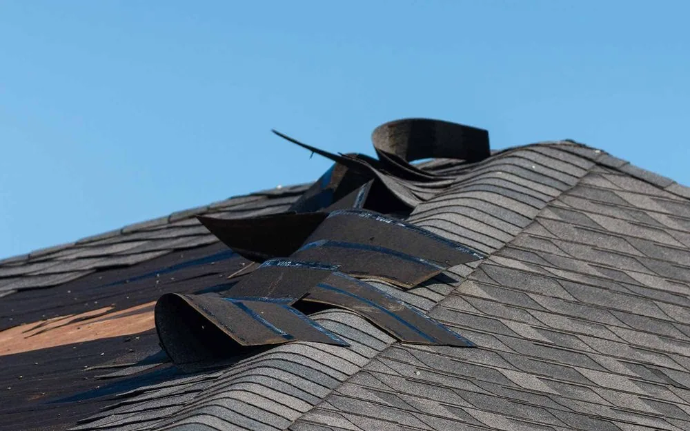 Water Stains: Roof Leak or Condensation? — The Short Answer